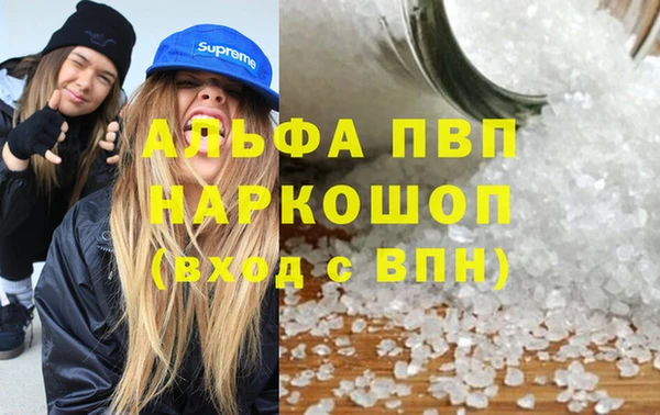 индика Балабаново