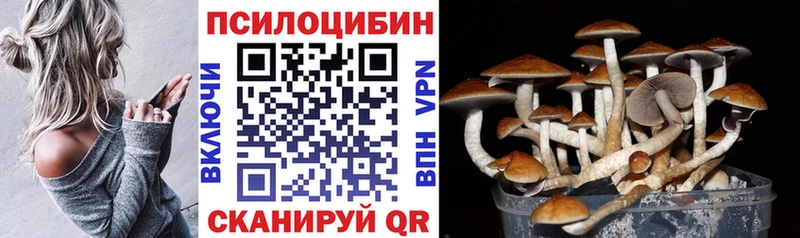 Псилоцибиновые грибы прущие грибы  магазин  наркотиков  Лиски 